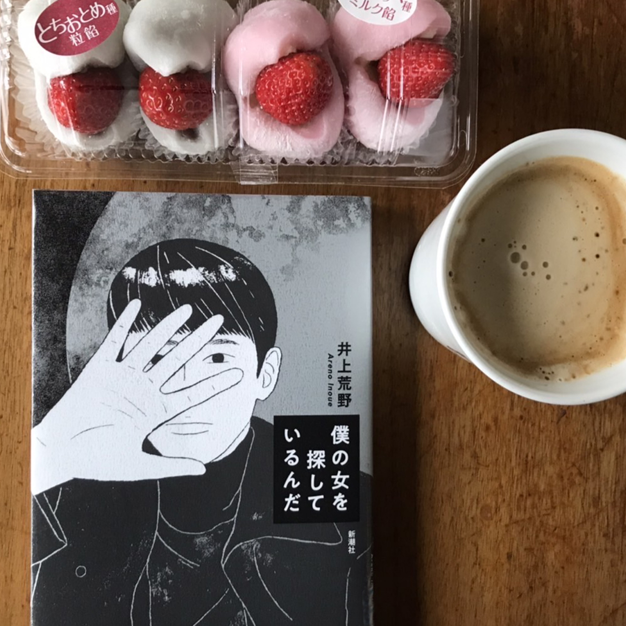 僕の女を探しているんだ｜井上荒野