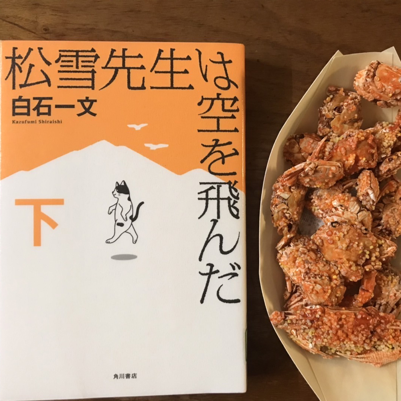 松雪先生は空を飛んだ 下｜白石一文