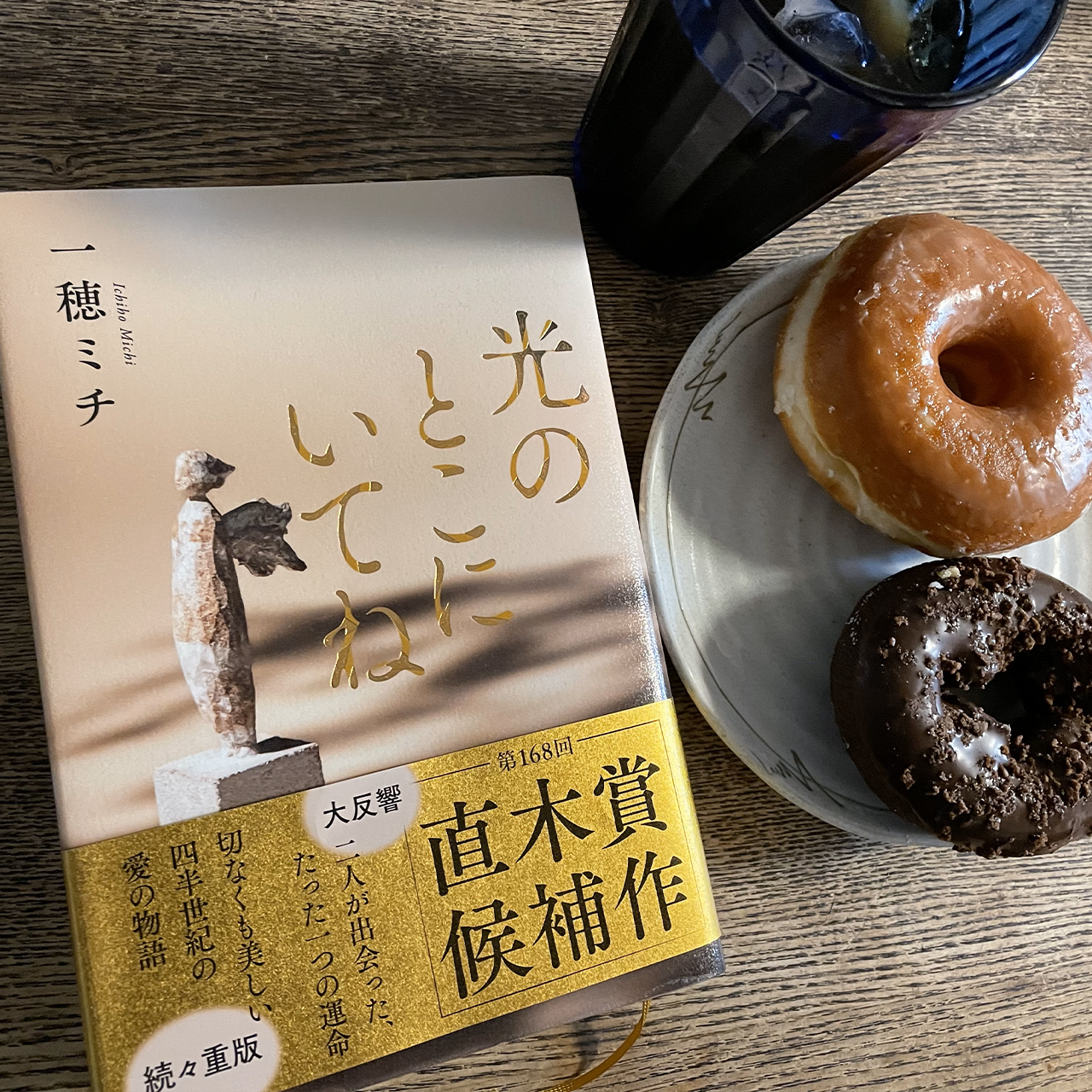 一穂ミチ『光のところにいてね』