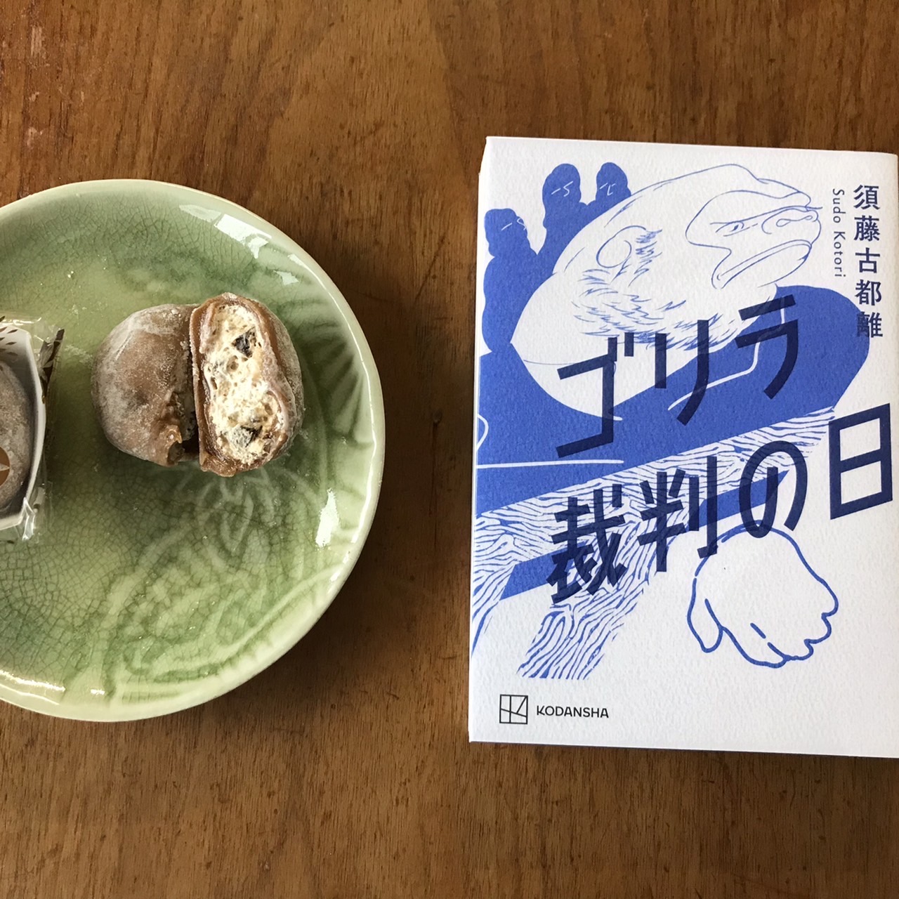 ゴリラ裁判の日｜須藤古都離