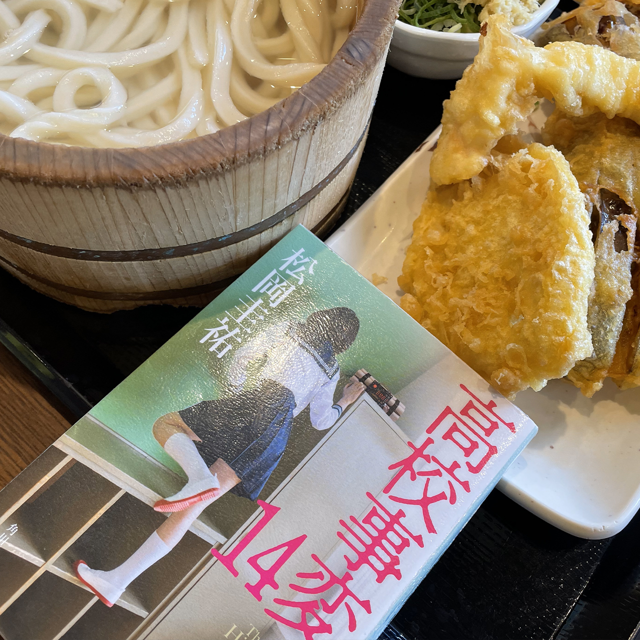 高校事変 14｜松岡圭祐