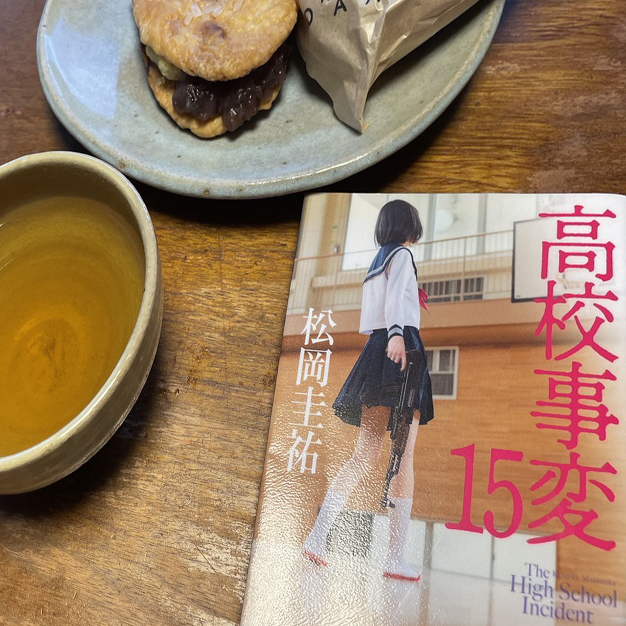 高校事変 15｜松岡圭祐