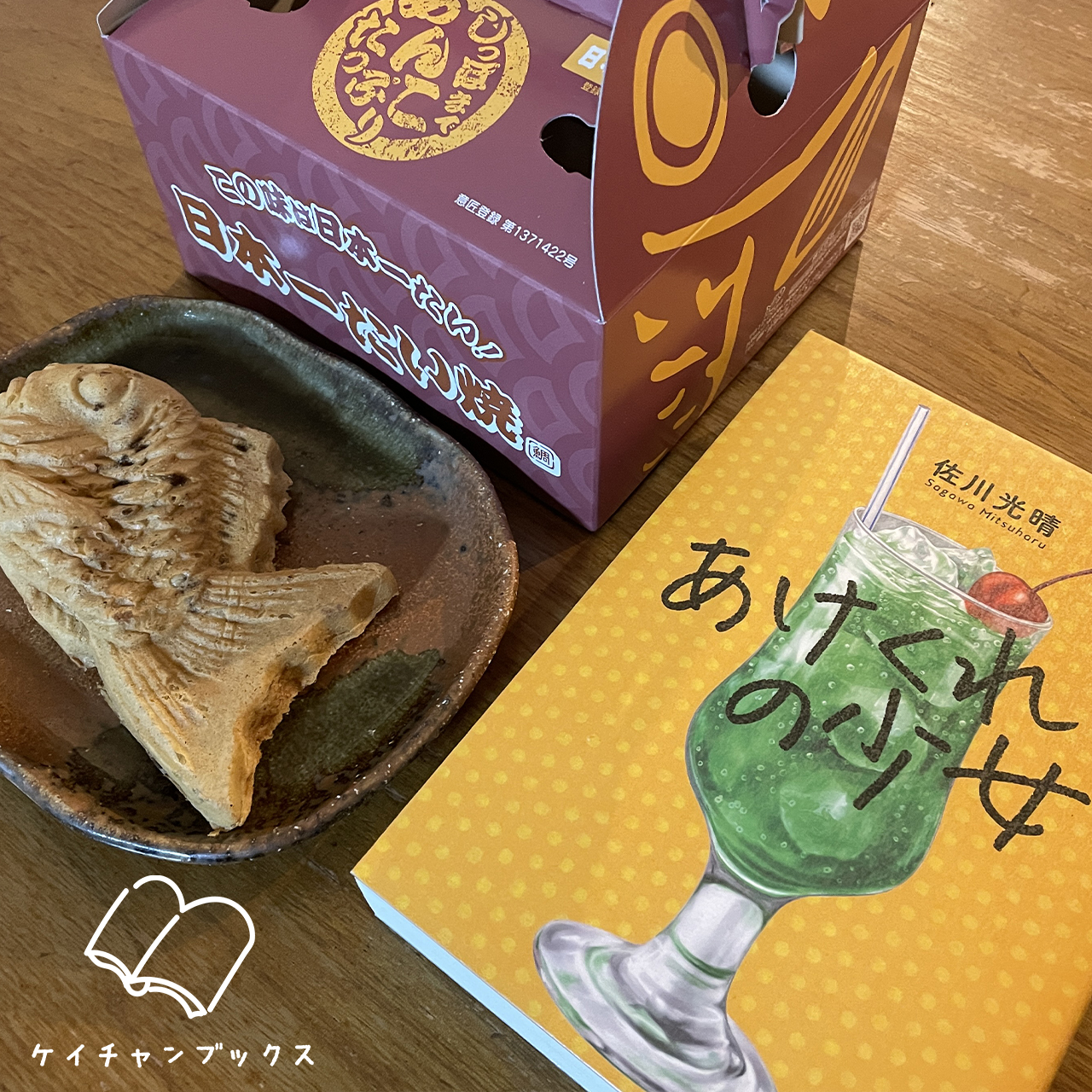 あけくれの少女｜佐川光晴