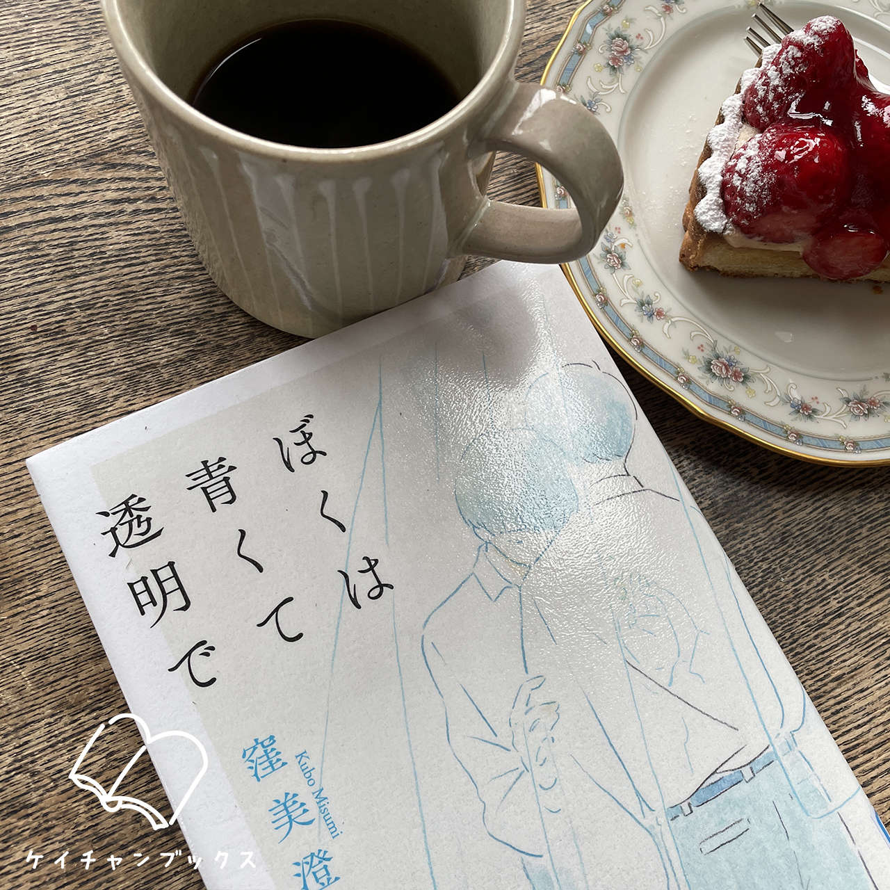 ぼくは青くて透明で｜窪美澄