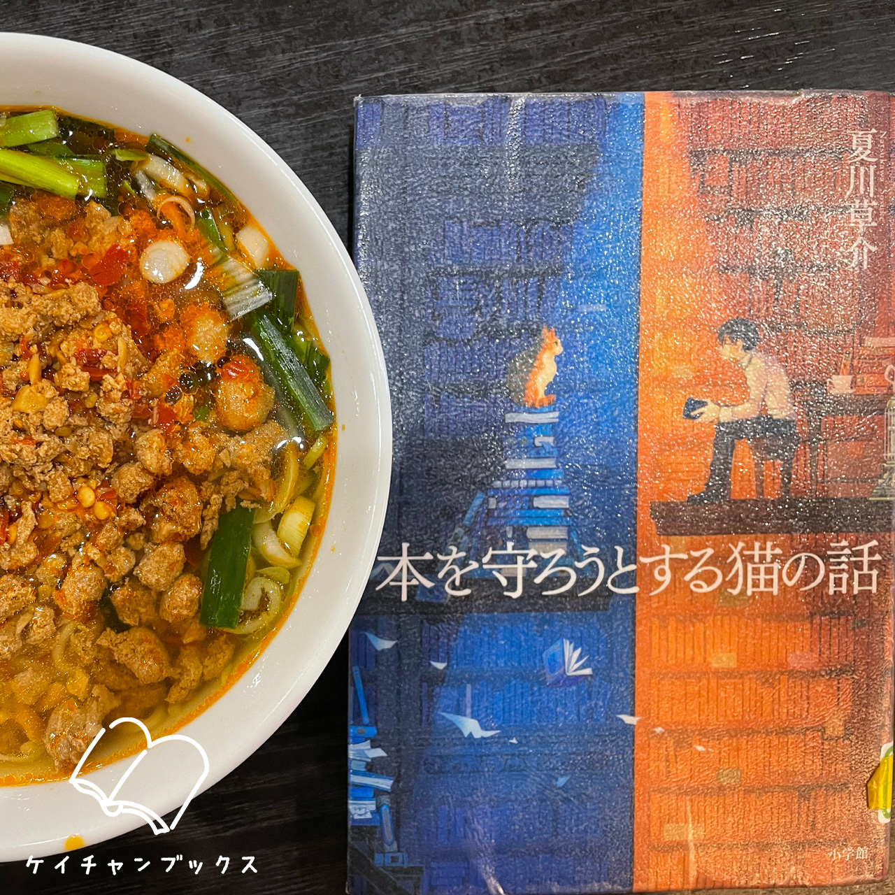 本を守ろうとする猫の話｜夏川草介