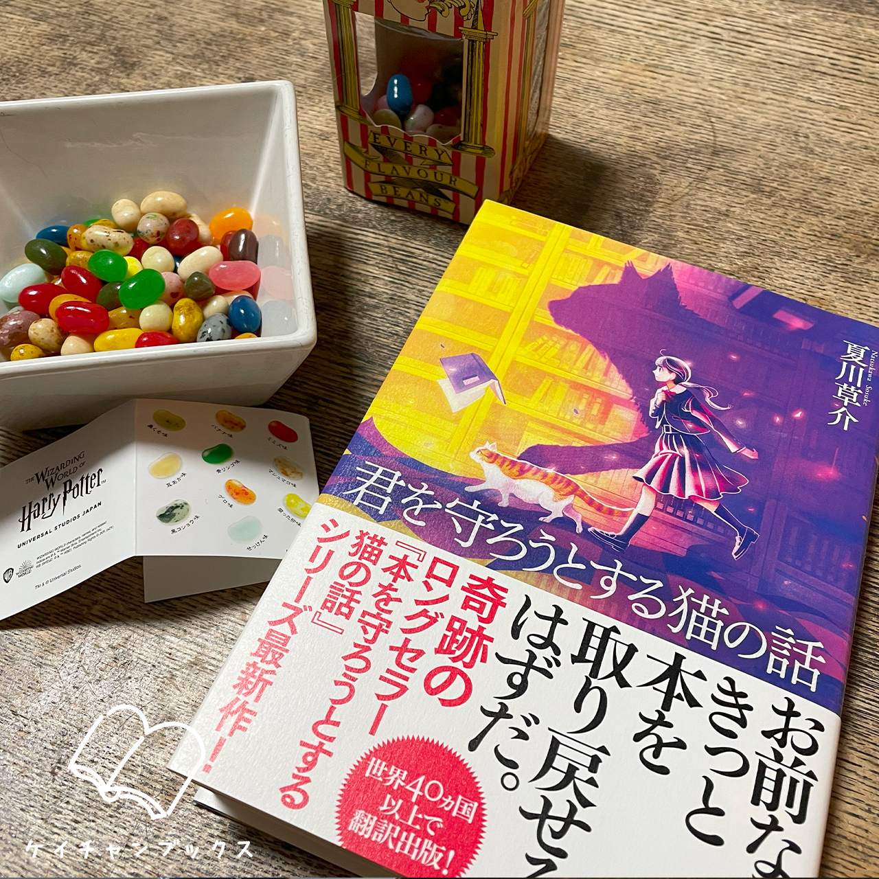 君を守ろうとする猫の話｜夏川草介