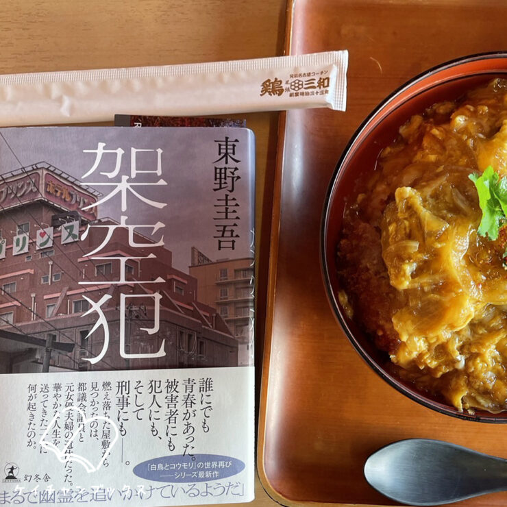 東野圭吾『架空犯』を読んだ感想と親子丼