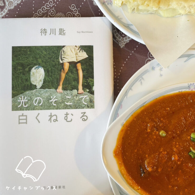 待川匙『光のそこで白くねむる』を読んだ感想とカレーとナン