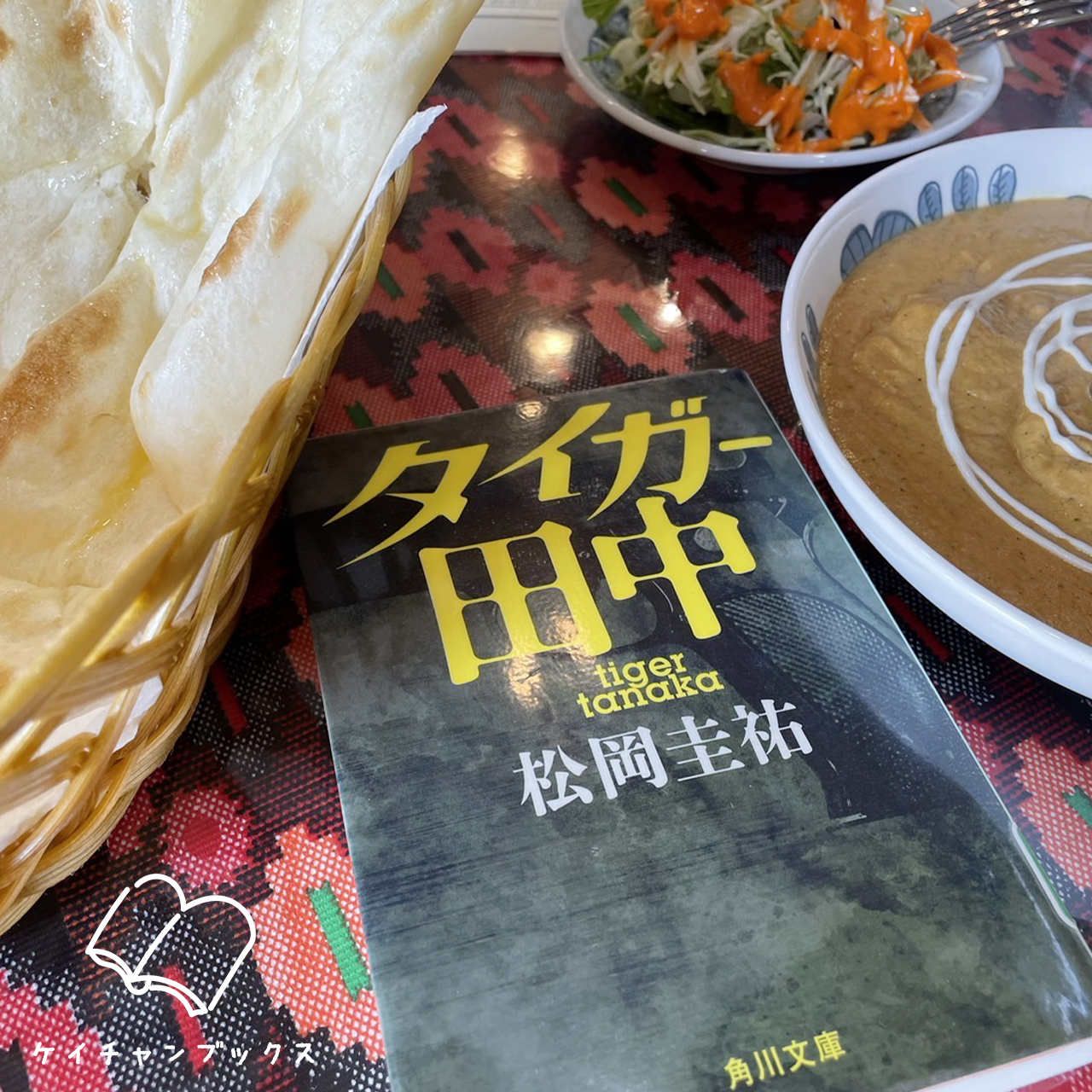 松岡圭祐『タイガー田中』を読んだ感想とカレーナン