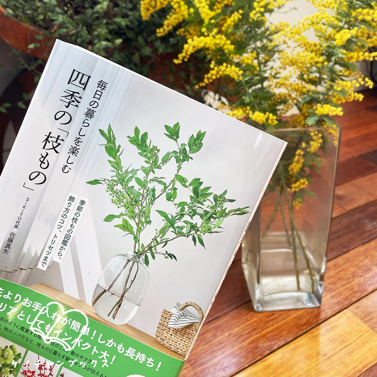 毎日の暮らしを楽しむ四季の「枝もの」: 季節の枝もの図鑑から、飾り方のコツ、トリセツまで｜佐藤真矢