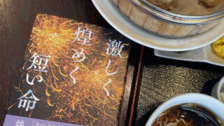 【本の感想】『激しく煌めく短い命』綿矢りさ|この煌めきを、永遠にするんだ