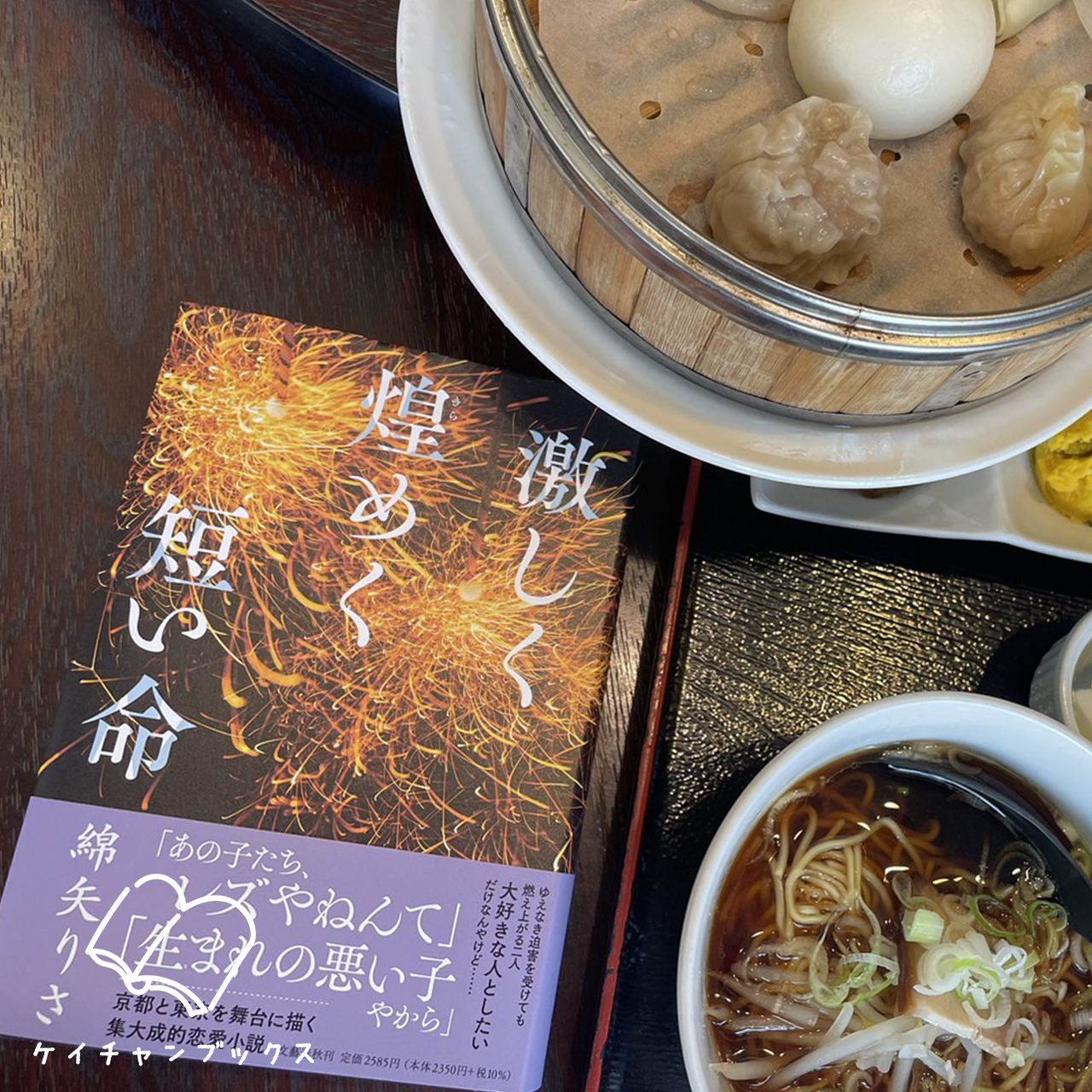 【本の感想】『激しく煌めく短い命』綿矢りさ｜この煌めきを、永遠にするんだ