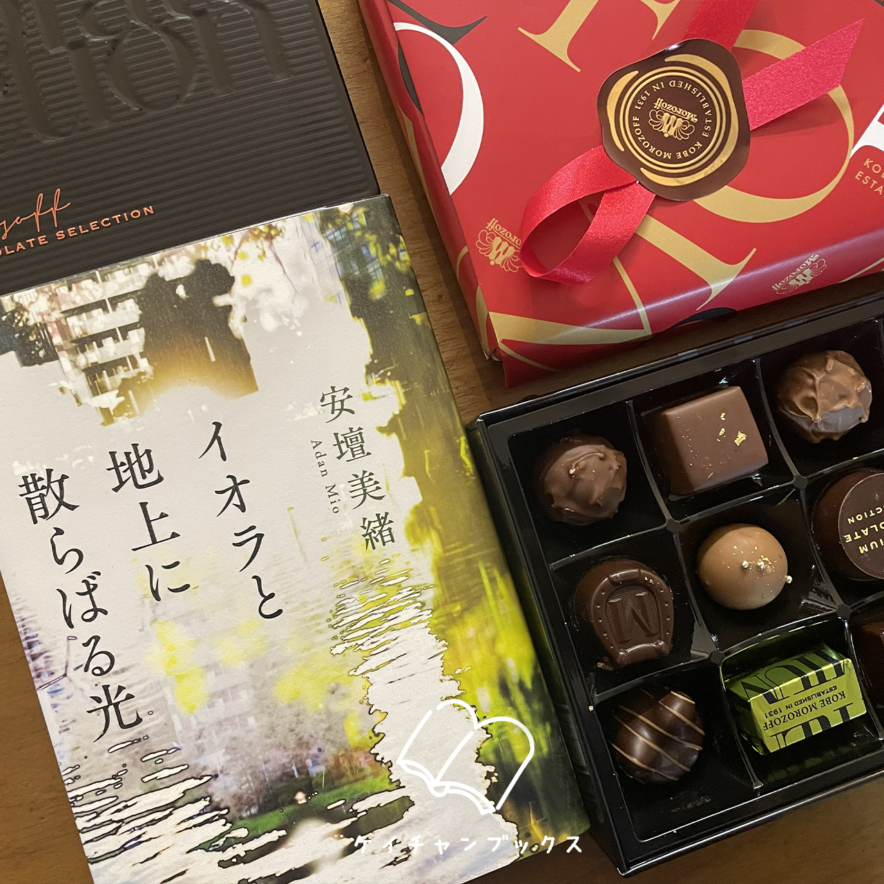 【本の感想】『イオラと地上に散らばる光』安壇美緒｜悪意と戦う必要ないんだよ