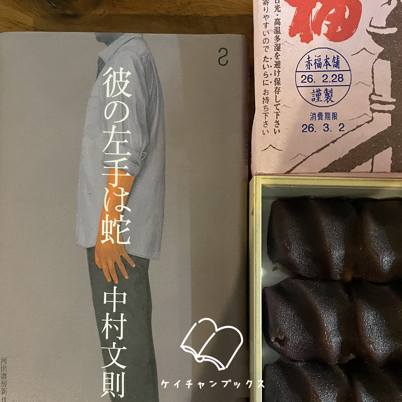 『彼の左手は蛇』中村文則　あらすじと感想｜全て終われば、楽になれるの？