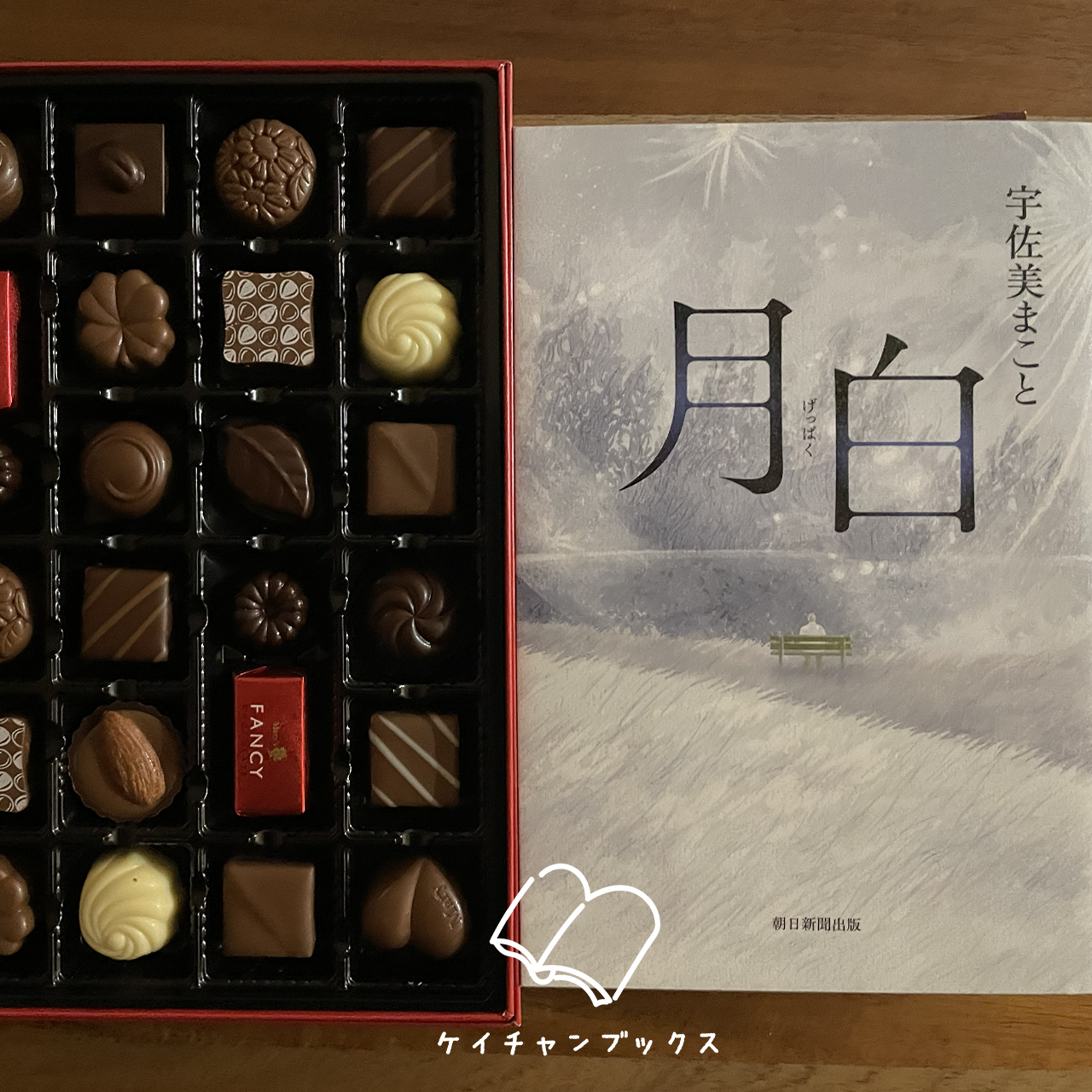 『月白』宇佐美まこと　あらすじと感想｜弱き者を守ることに、理由はいらない