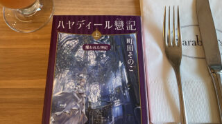 『ハヤディール戀記　上　攫われた神妃』町田そのこ　あらすじと感想｜美女と美男の恋は、尊いww