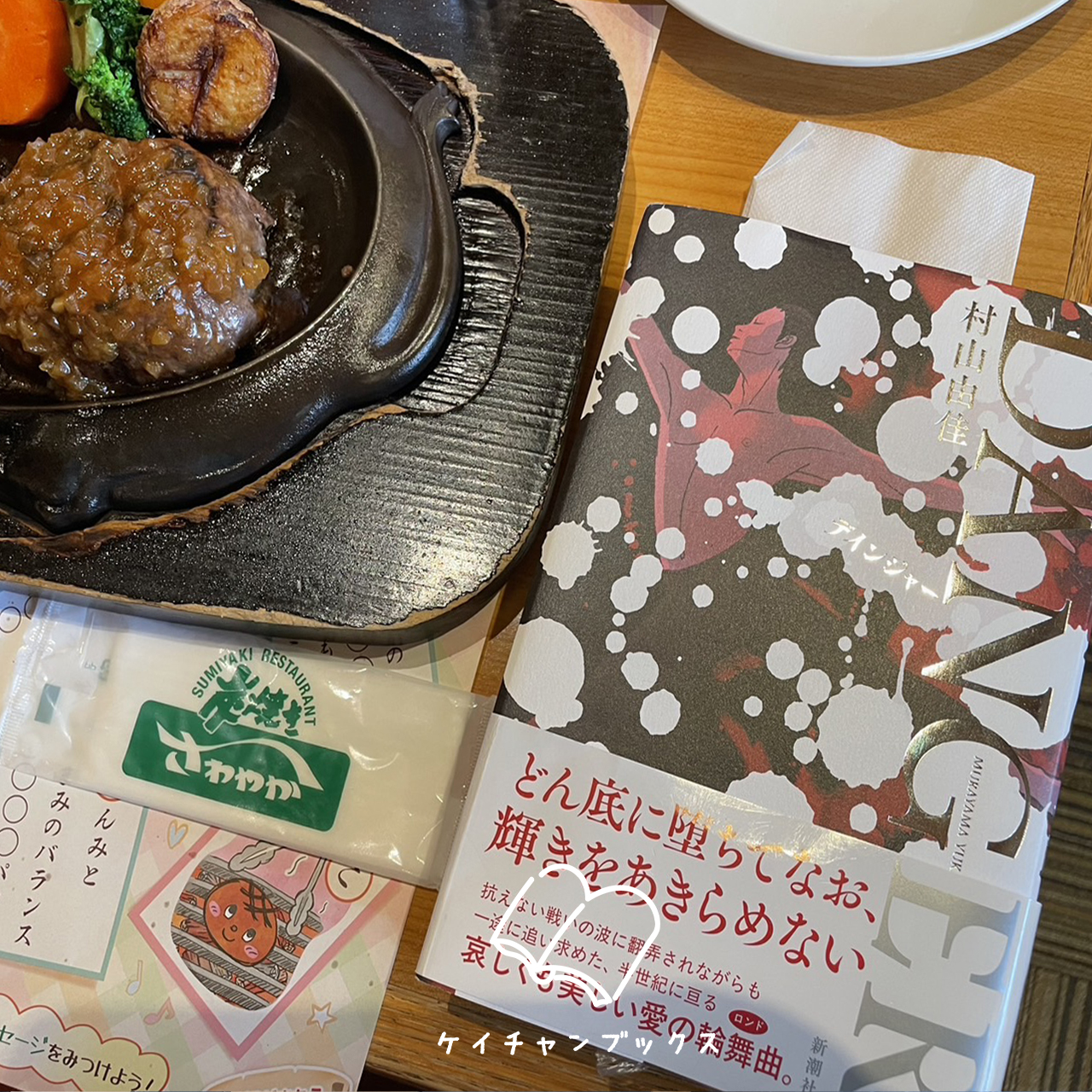 『DANGER』村山由佳　あらすじと感想｜私は、国と強者の所有物じゃない！