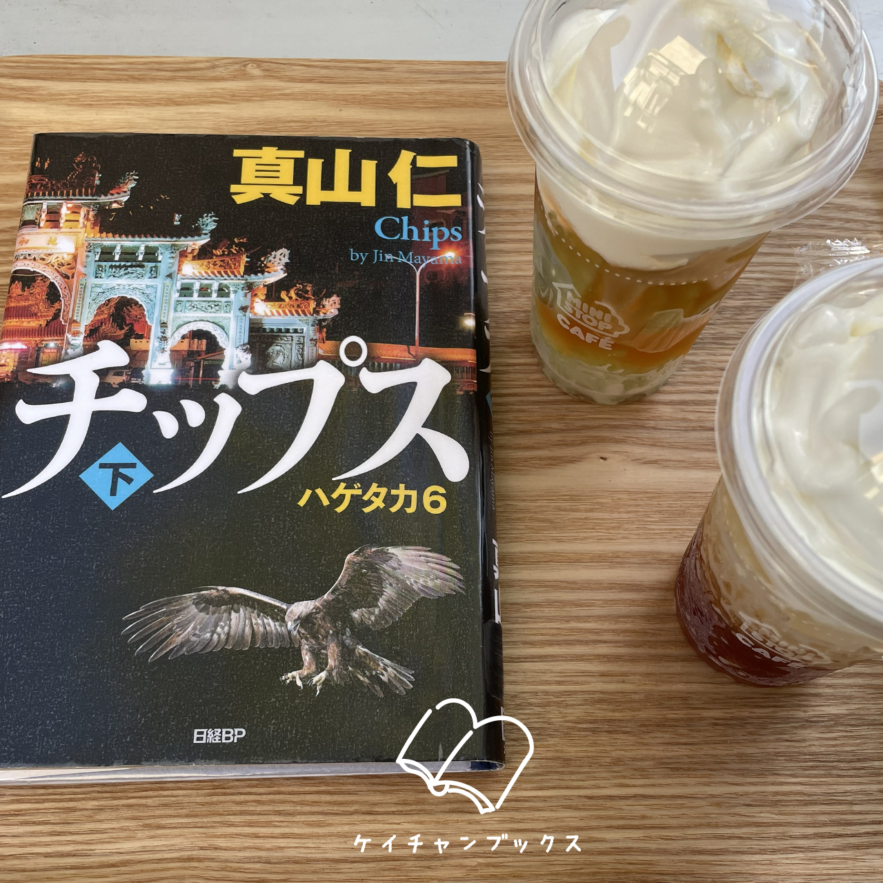 『チップス　下　ハゲタカ6』真山仁　あらすじと感想｜目指すべき未来を描けている？