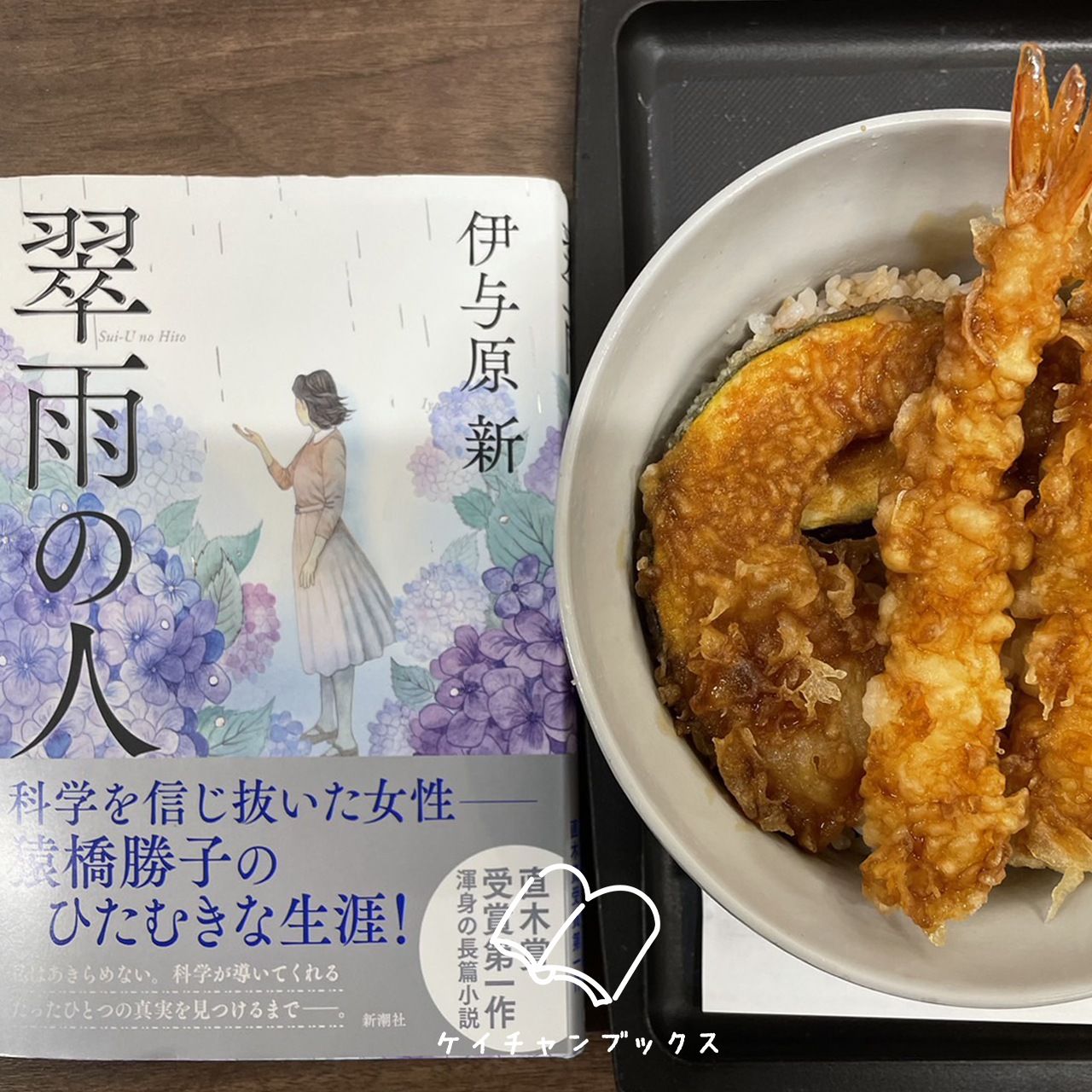 『翠雨の人』伊予原新　あらすじと感想｜好きなことを、夢中でしただけ