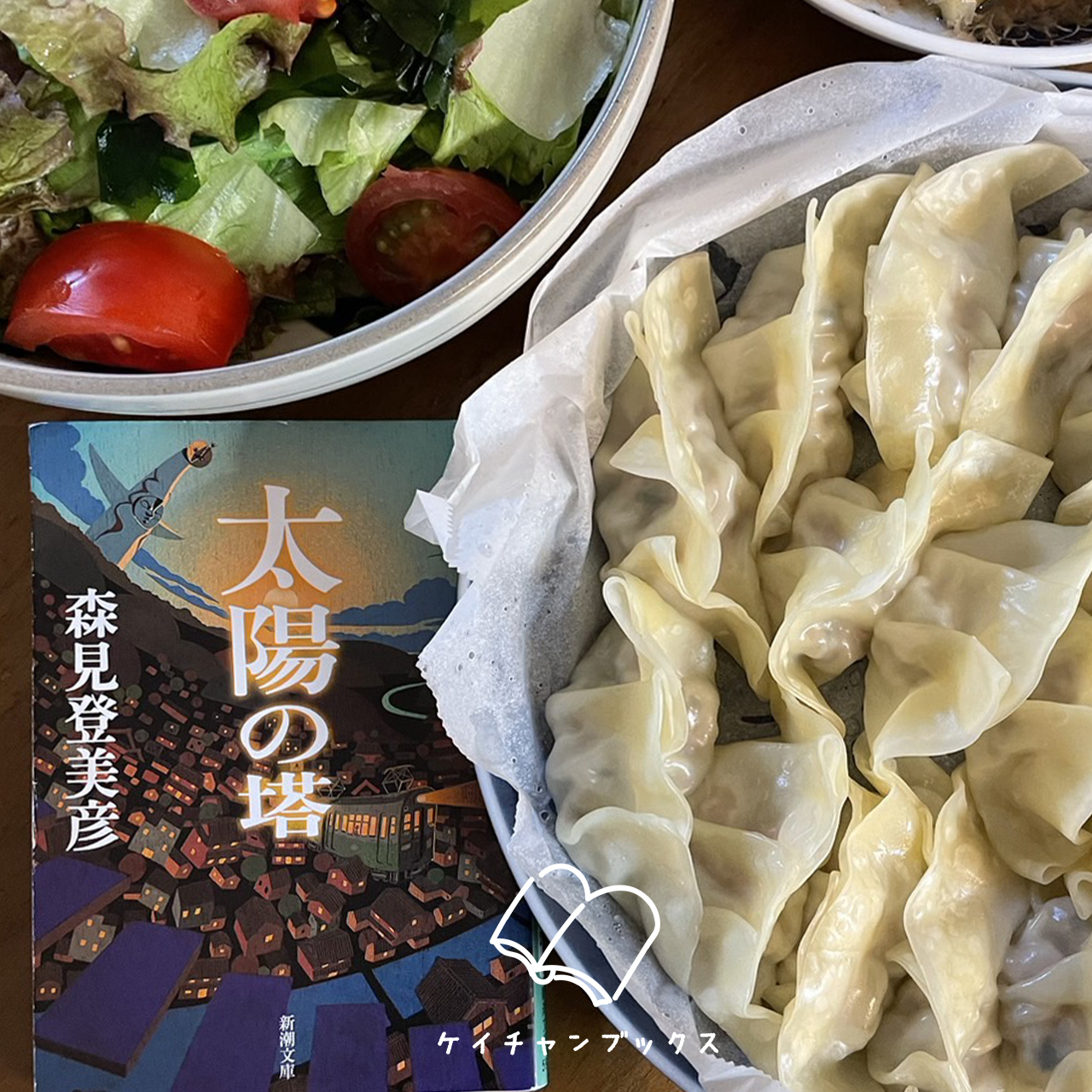 『太陽の塔』森見登美彦 あらすじと感想｜キミはボクの太陽の塔