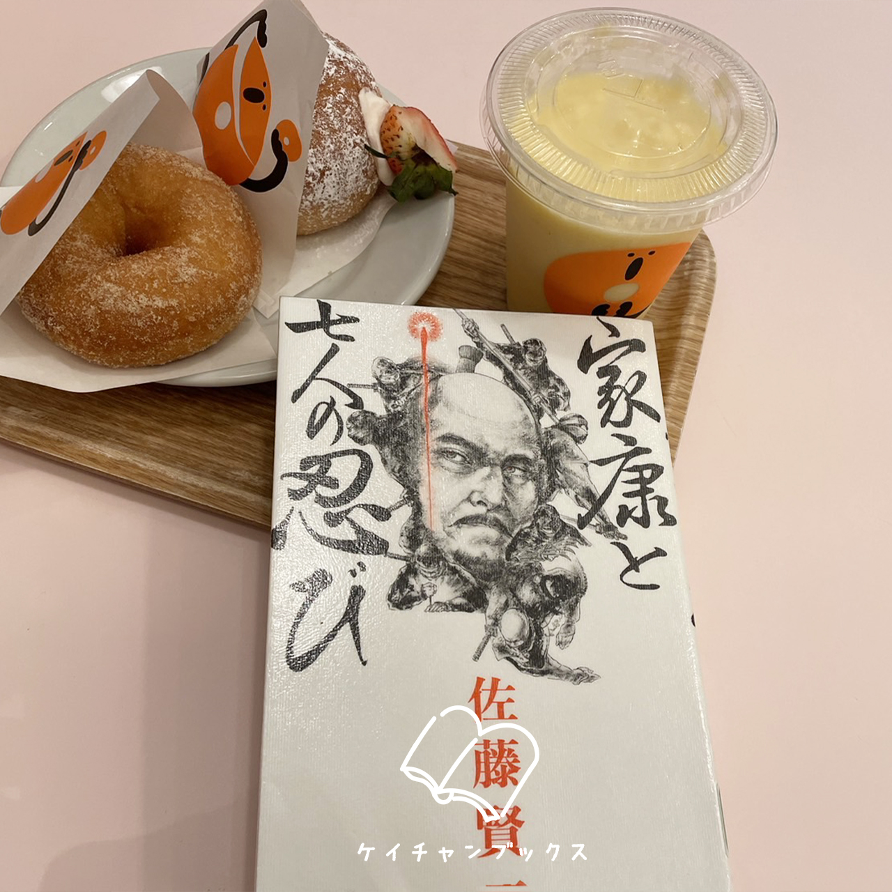 『家康と七人の忍び』佐藤賢一　あらすじと感想｜忍術はやり過ぎなぐらいが、ちょうどいいｗｗ