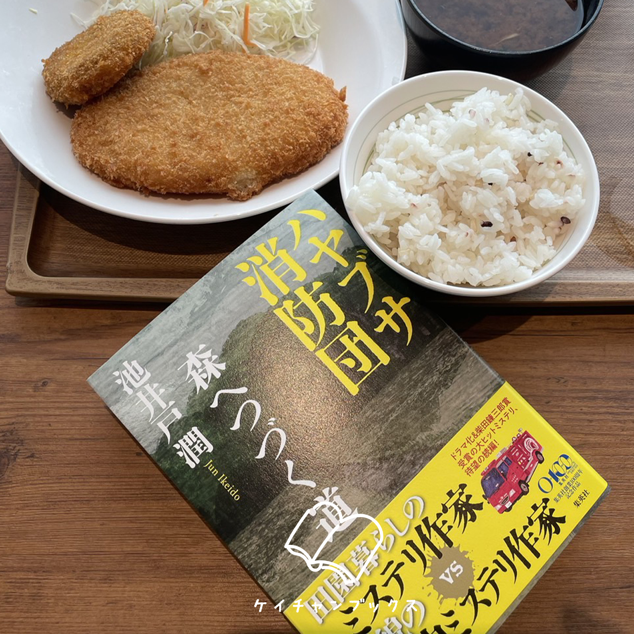 『ハヤブサ消防団』池井戸潤　あらすじと感想｜見て見ぬふりしてては、心安らかでいられない